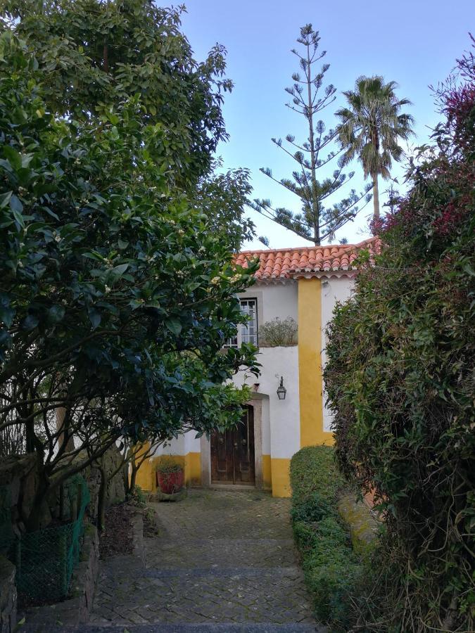 Bed and Breakfast Quinta Do Rio Touro Azoia  Екстер'єр фото