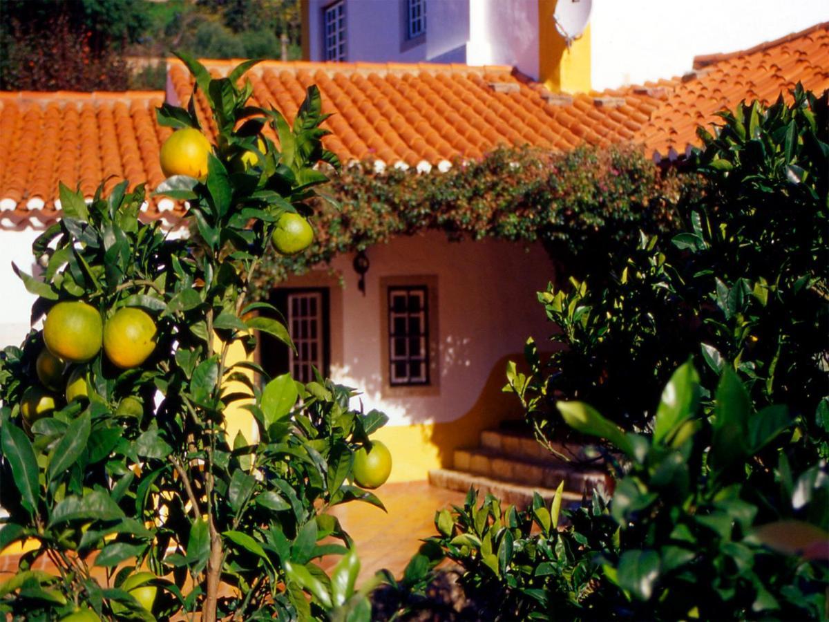 Bed and Breakfast Quinta Do Rio Touro Azoia  Екстер'єр фото