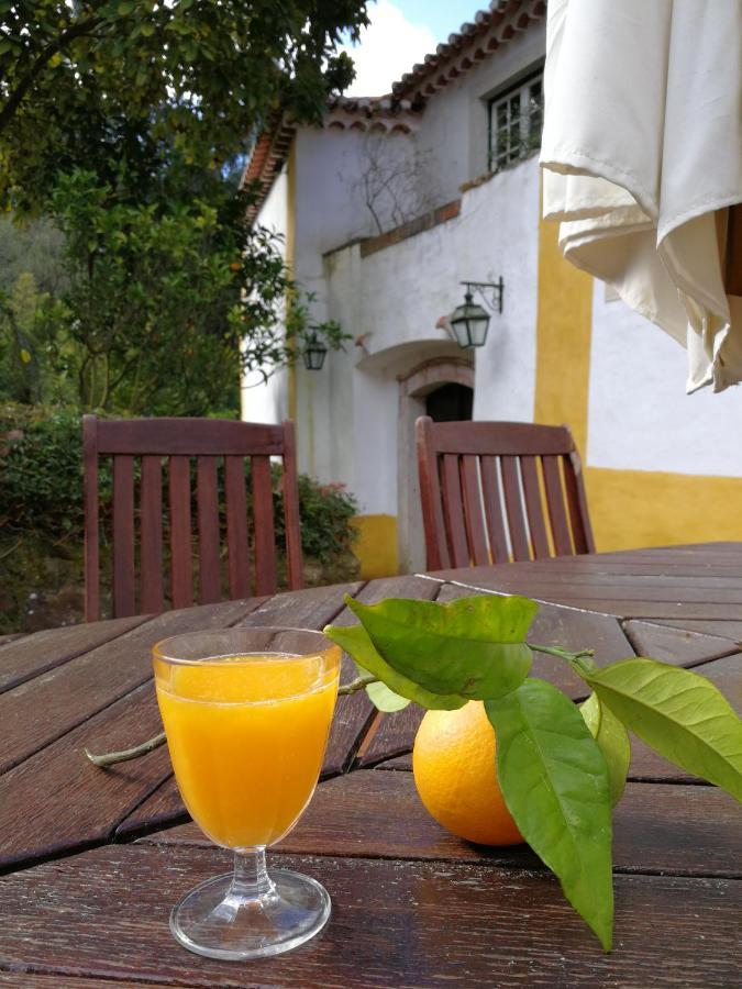 Bed and Breakfast Quinta Do Rio Touro Azoia  Екстер'єр фото