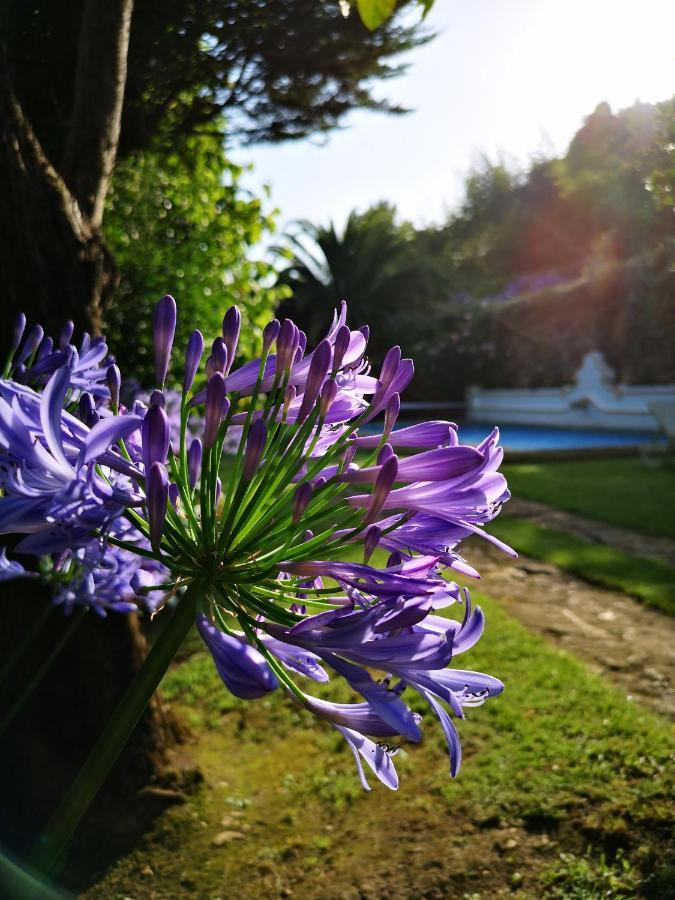Bed and Breakfast Quinta Do Rio Touro Azoia  Екстер'єр фото